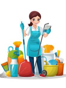 Cleaner