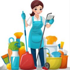 Cleaner