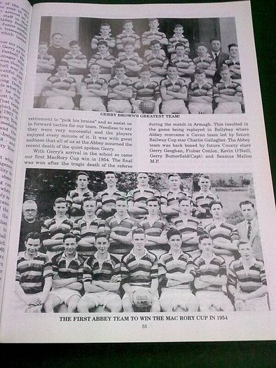 Down GAA yearbook 1996 Ireland Irish