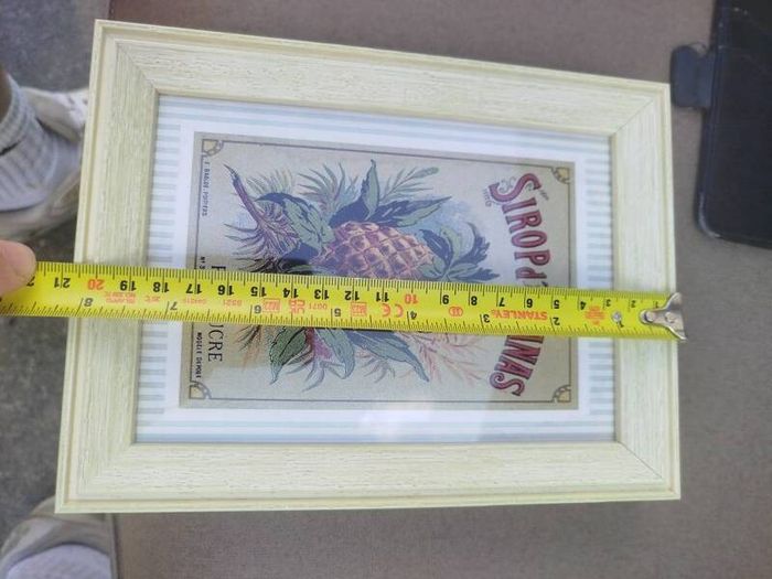 Set of 3 Vintage French Botanical / Botanical Beverage Framed Prints (Pineapple, Apricot, Anisette)