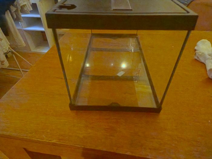 fish tank