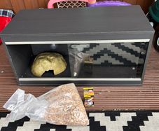 Vivarium with heat bulb and cave
