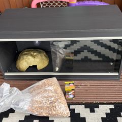 Vivarium with heat bulb and cave