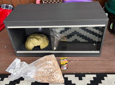 Vivarium with heat bulb and cave