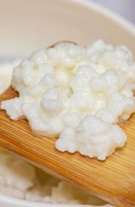 milk kefir grains