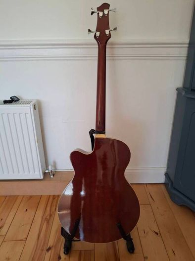Acoustic Bass Guitar