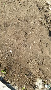 Top soil