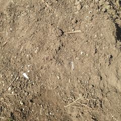Top soil