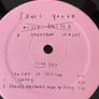 Sonic Youth - A Thousand Leaves Image 4