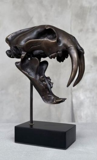 Sabre-Tooth Tiger Skull  - Bronze, Metal Stand, Signed