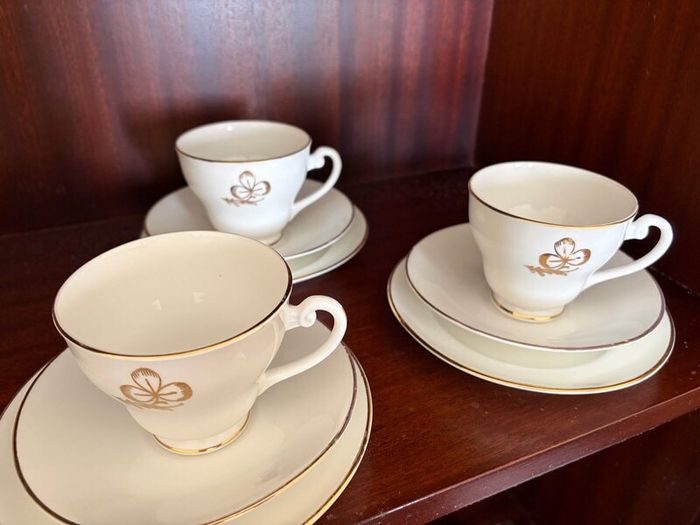 Vintage Regina Fine Bone China Tea Set