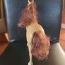 Barbie Doll horse  Head Moves Up And Down Side To Side Image 2
