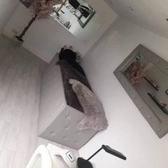 Beauty bed