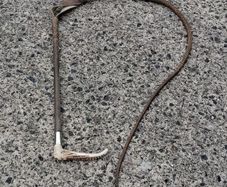 Vintage Swaine Hunting Whip