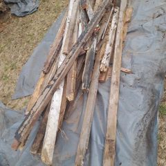 wood/lumber