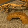 Reptile Equipment Image 3