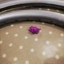 24" rims Image 3
