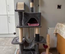 cat tower