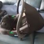 Baby car seat Image 2