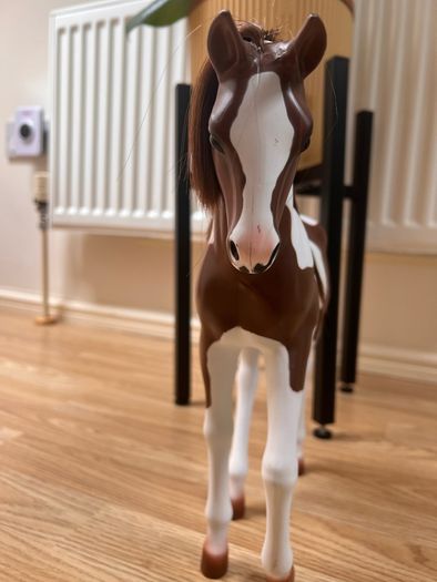 horse