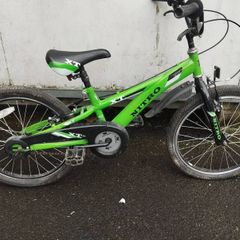 boys 20inch bike