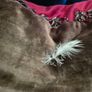 Luxury Cushion Set x6 + Matching Throw Image 2