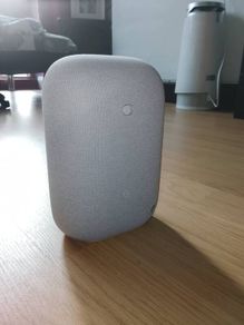 Google Nest Audio