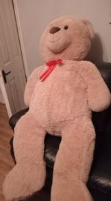 Extra large teddy bear