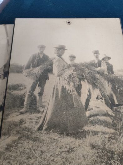 3x period photo prints