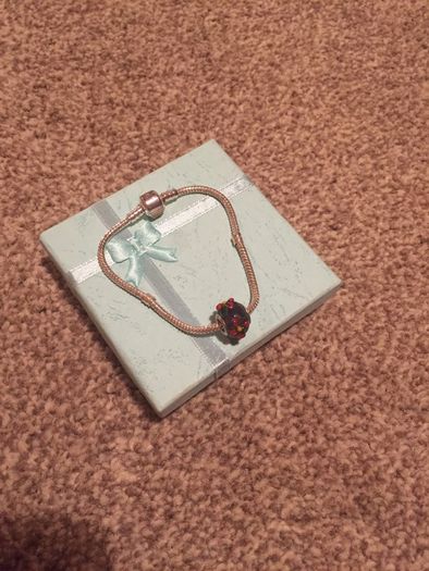 bracelet charm