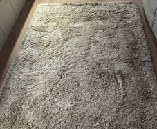 Beige living room carpet