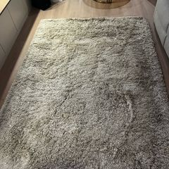 Beige living room carpet