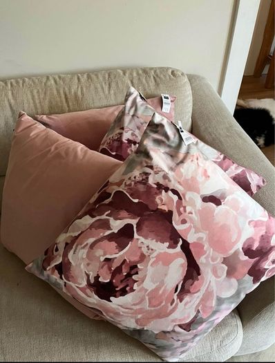 Cushions x 4