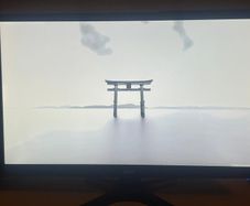 144hz gaming monitor
