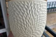 Plant pot