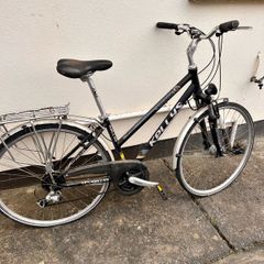 Kelly Visage Size 17 Frame Ladies Bike