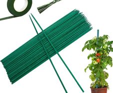 Plant Support Sticks Plant Stakes Garden Stakes Plant Sticks with with 30pcs Garden Twist Ties, 30 Yard Flower Paper Tape for Vegetables Flowers Fruit(30cm/11.81inch)
