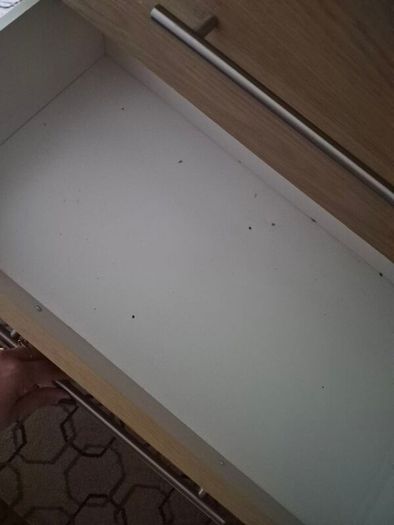 chest of drawers