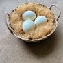 Three ostrich eggs in a large wicker basket with straw Image 3