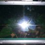 Toshiba laptop Image 4