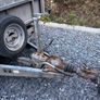 Ifor Williams LM126G Image 8