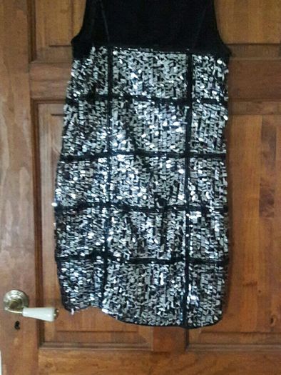 Ladies Silver and Black evening mini dress