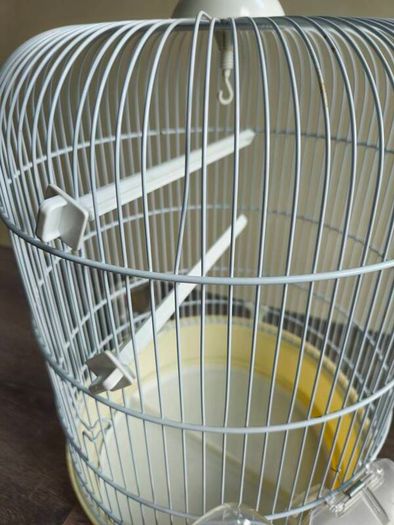 Small parrot/budgie cage