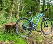 Bike wheel