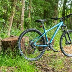 Bike wheel