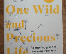 Your One Wild and Precious Life