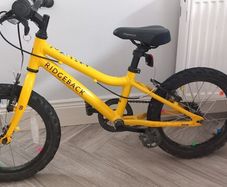 Ridgeback MX16