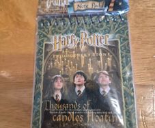 Harry Potter Mini Notepads