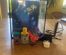 Glass Fish Tank