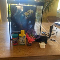 Glass Fish Tank